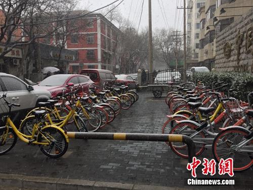 資料圖：風(fēng)雪中的共享單車。<a target='_blank' href='http://www.chinanews.com/' >中新網(wǎng)</a> 吳濤攝