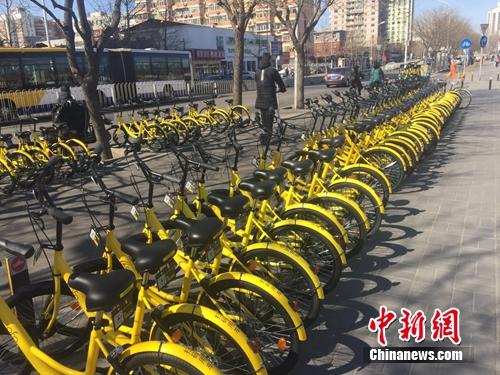 資料圖：一排共享單車整齊碼放。<a target='_blank' href='http://www.chinanews.com/' >中新網(wǎng)</a> 吳濤 攝