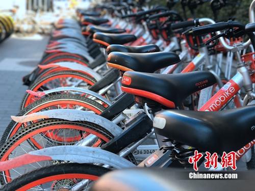 資料圖：清一色的摩拜單車。<a target='_blank' href='http://www.chinanews.com/' >中新網</a> 吳濤 攝