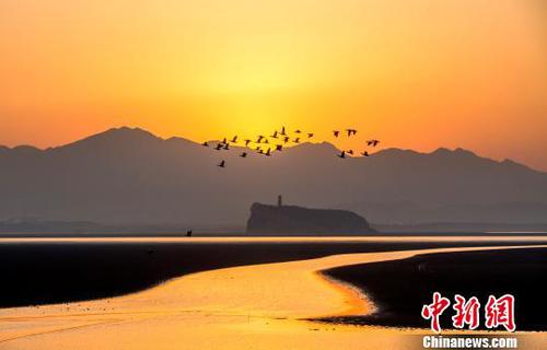 遠(yuǎn)處的廬山、湖中的鞋山與時(shí)而飛過的候鳥，在夕陽余暉的映照下呈現(xiàn)出一幅美麗的冬日畫卷?！「到ū?攝