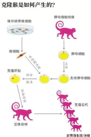 點擊進入下一頁