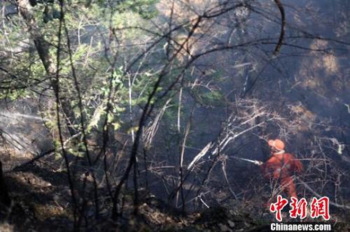 森警官兵正在撲火。　楊俊輝 攝