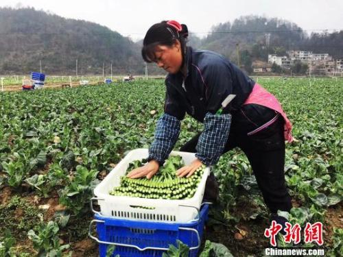 點擊進入下一頁