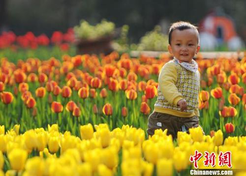 3月22日，小朋友在江西九江市濂溪區(qū)的九江新湖郁金香花博會(huì)現(xiàn)場(chǎng)玩耍?！『鷩?guó)林　攝