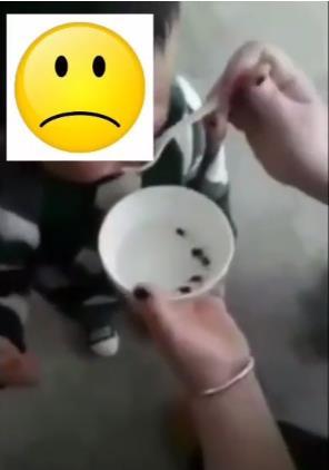 吃活蝌蚪可強(qiáng)身健體？含寄生蟲是真！