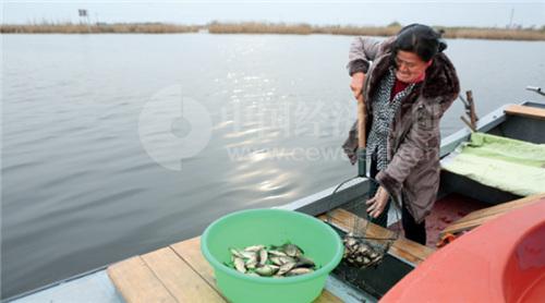 點擊進(jìn)入下一頁