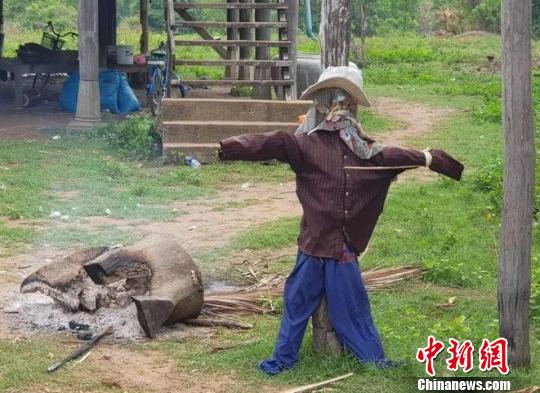 圖為事發(fā)村莊。當(dāng)?shù)亍都碇袝r(shí)報(bào)》提供