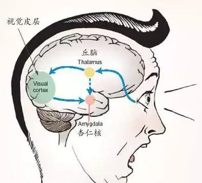 為何有人聽到指甲劃黑板的聲音就狂躁？