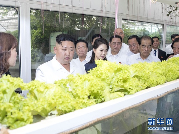 6月20日，中共中央總書記、國家主席習近平在北京釣魚臺國賓館會見朝鮮勞動黨委員長、國務委員會委員長金正恩。這是當天，金正恩參觀中國農業(yè)科學院國家農業(yè)科技創(chuàng)新園。