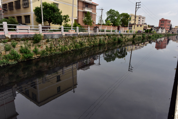 圖1 汕頭市潮陽區(qū)練北大坑水體嚴重黑臭