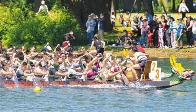 中國(guó)僑網(wǎng)6月16日，加拿大舉行第30屆多倫多國(guó)際龍舟節(jié)，這項(xiàng)為期兩天的傳統(tǒng)活動(dòng)吸引了來(lái)自世界各地的逾5000人參加。圖為參賽者在龍舟賽中。(新華社/鄒崢 攝)