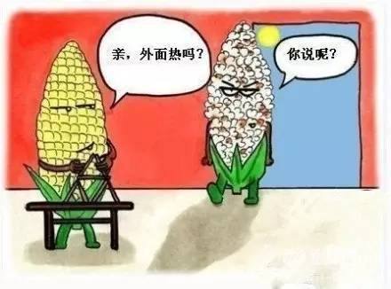 中暑為什么會死人？對中暑決不能掉以輕心！