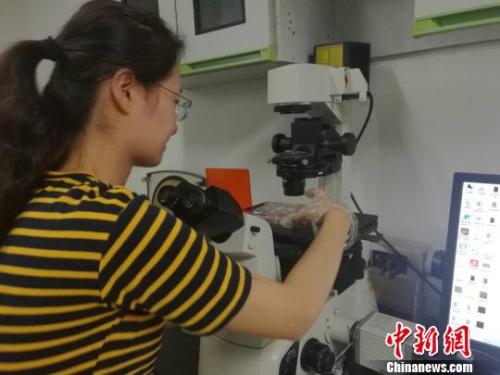 點(diǎn)擊進(jìn)入下一頁(yè)