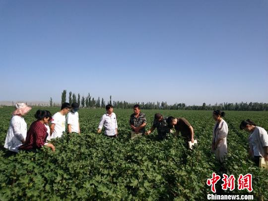 新疆兵團(tuán)投1111萬元支持貧困團(tuán)場科技工作