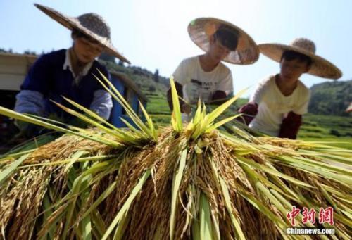 點擊進入下一頁