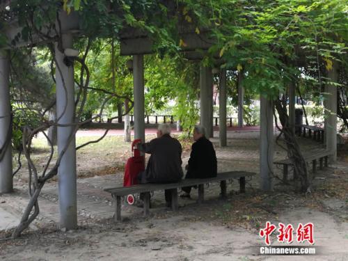 資料圖 <a target='_blank' href='http://www.chinanews.com/' >中新網(wǎng)</a>記者 張尼 攝