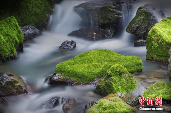 點擊進(jìn)入下一頁