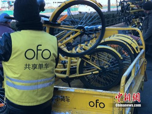 資料圖：某共享單車(chē)運(yùn)維人員在執(zhí)行作業(yè)。<a target='_blank' href='http://www.chinanews.com/' >中新網(wǎng)</a> 吳濤 攝