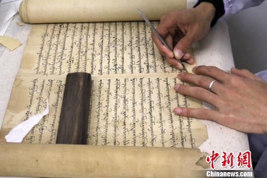 圖為文物保護專家正在對唐代藏文寫經(jīng)進行修復(fù)。　趙紅云 攝