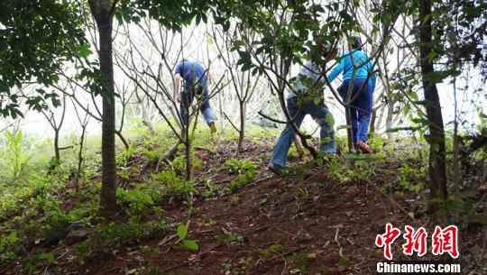 舊州古城墻遺址。　符宇群 攝