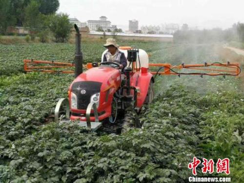 資料圖：農(nóng)民給馬鈴薯噴灑追肥。陳得軍 攝