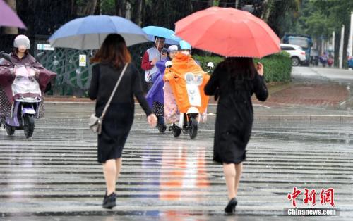 資料圖：2018年11月，福州市民在雨中出行。張斌 攝