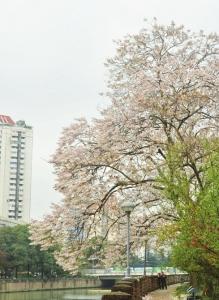 點(diǎn)擊進(jìn)入下一頁(yè)
