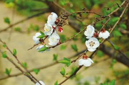 點(diǎn)擊進(jìn)入下一頁(yè)