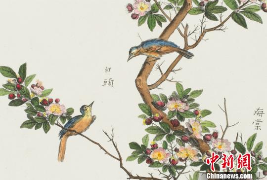 展品《中國(guó)植物——海棠》。黑龍江省美術(shù)館提供