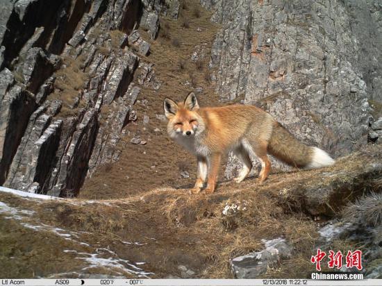 點(diǎn)擊進(jìn)入下一頁(yè)