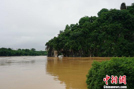 圖為桂林城徽象鼻山被淹。　唐夢(mèng)憲 攝