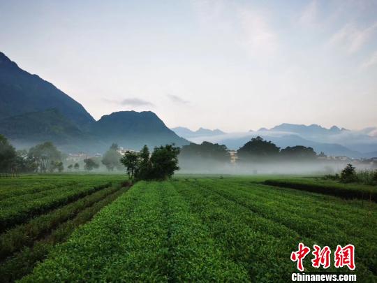 “霍童洞天”助力中國(guó)“洞天福地”申報(bào)世界文化遺產(chǎn)