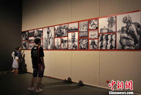 140件非洲雕刻藝術(shù)作品當天在山東美術(shù)館亮相?！≮w曉 攝