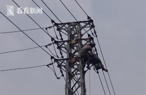 穿絕緣防蜂服爬高壓電塔摘蜂窩 男子仍電擊被困