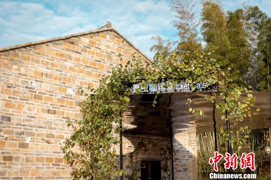 中國建筑師王彥，將夏木塘村內(nèi)一座90年歷史的舊宅改建為咖啡廳，取名“夏蟲咖啡”。主辦方供資料圖