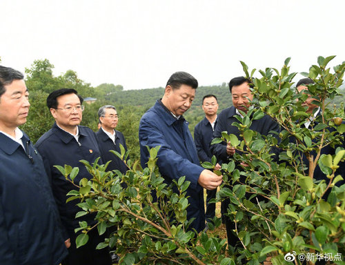 點擊進(jìn)入下一頁