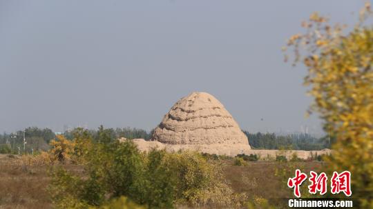 西夏陵遺址?！∮诰?攝