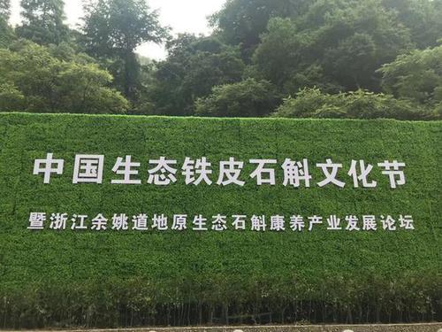 中國生態(tài)石斛文化節(jié)暨道地原生態(tài)石斛康養(yǎng)論壇在寧波召開
