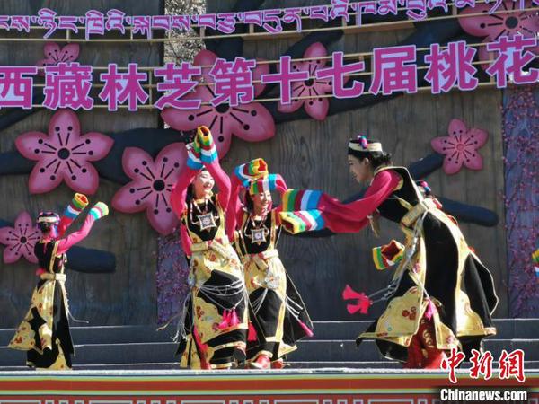 圖為林芝桃花節(jié)開幕場景，2019年3月29日，林芝第十七屆桃花旅游文化節(jié)在巴宜區(qū)開幕(資料圖)。　張偉 攝