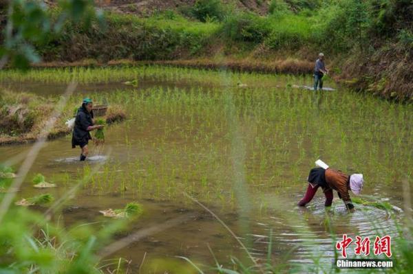 點擊進(jìn)入下一頁