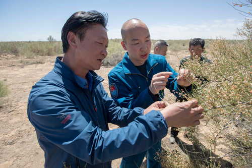 （416配稿）劉宏義：扎根戈壁，鑄就綠色(7011941)-20250421085901