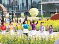 北京朝陽“遇薦安貞·共朝美好——春花鎏金”油菜花市集開市