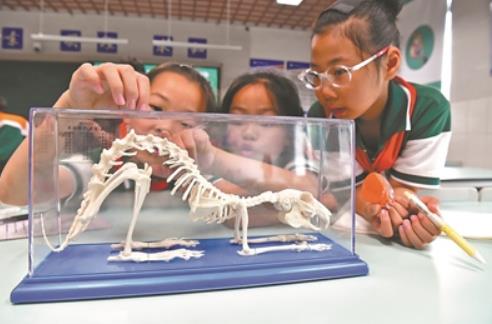 學(xué)習(xí)科普知識 了解生物多樣性