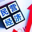 法治護(hù)航民營(yíng)經(jīng)濟(jì)行穩(wěn)致遠(yuǎn)