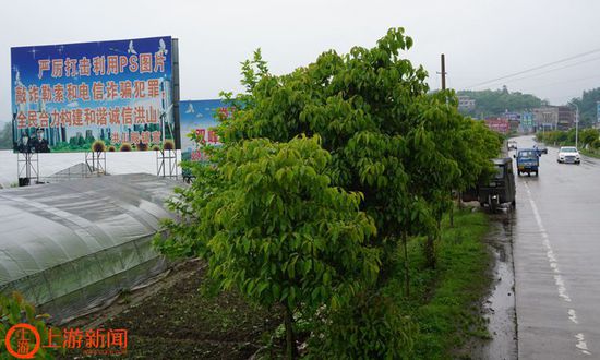 圖4 婁底到雙峰的省道上，打擊PS敲詐勒索的大型宣傳牌很醒目.JPG