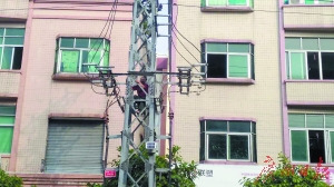 東莞一男子醉酒后爬電塔近7000戶居民被斷電